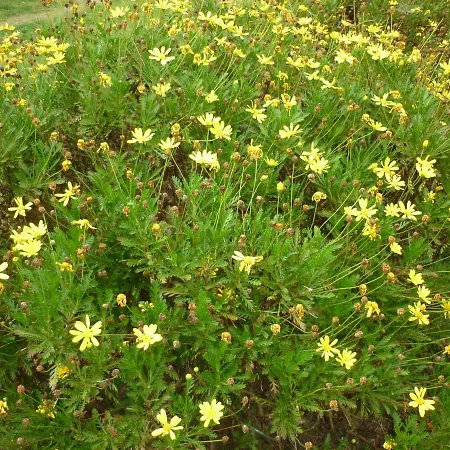 Casa La Pontiga Las Rozas