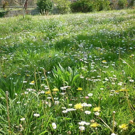 別荘 Casa La Pontiga