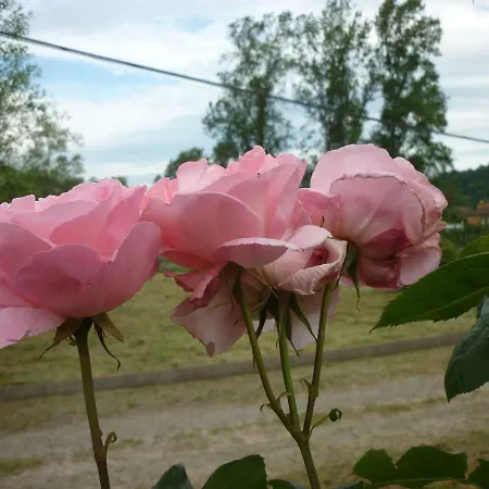 Casa La Pontiga 別荘 *